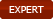 EXPERT